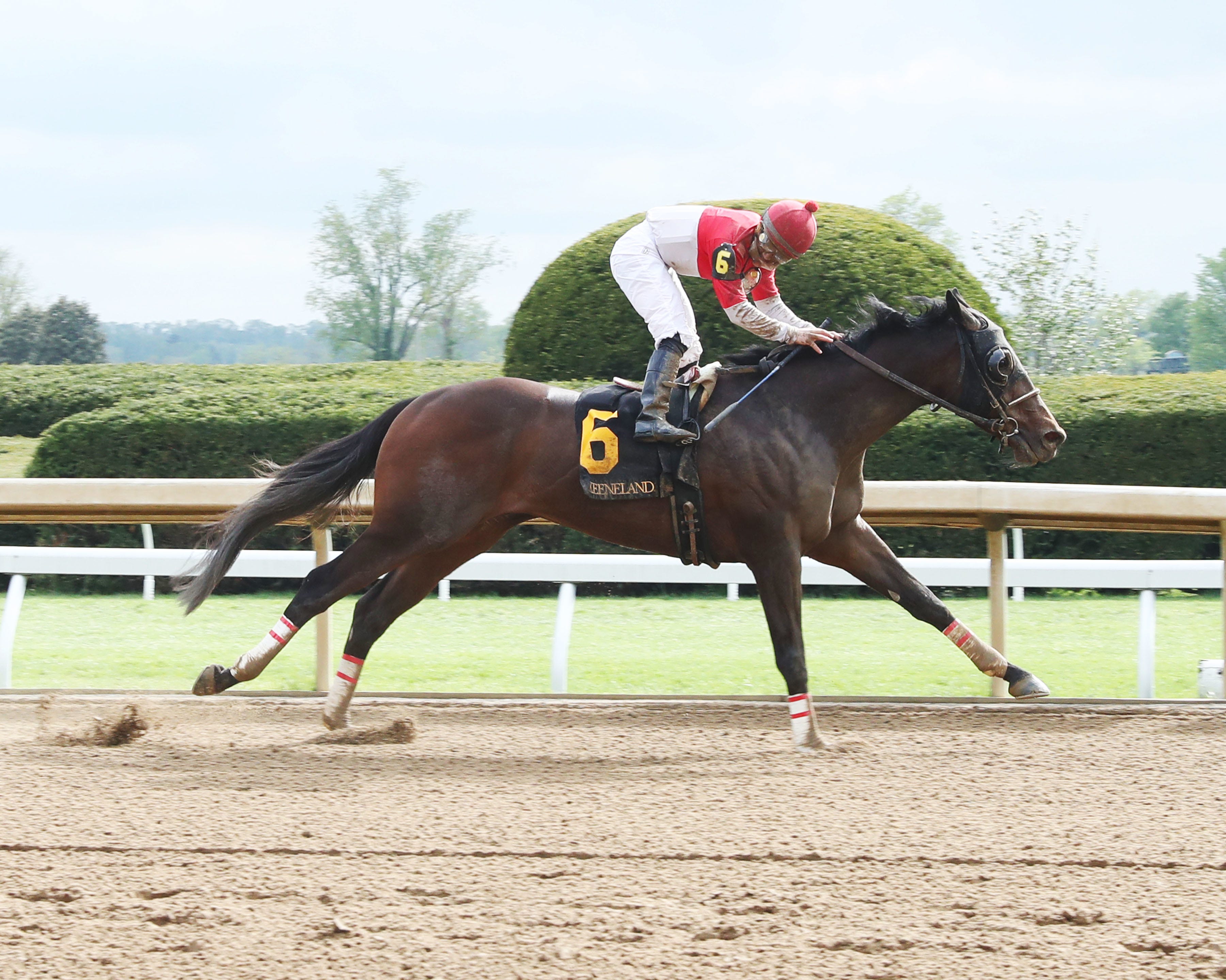 Bourbon Heist hoping for a little déjà vu; 286,380 pick six carryover